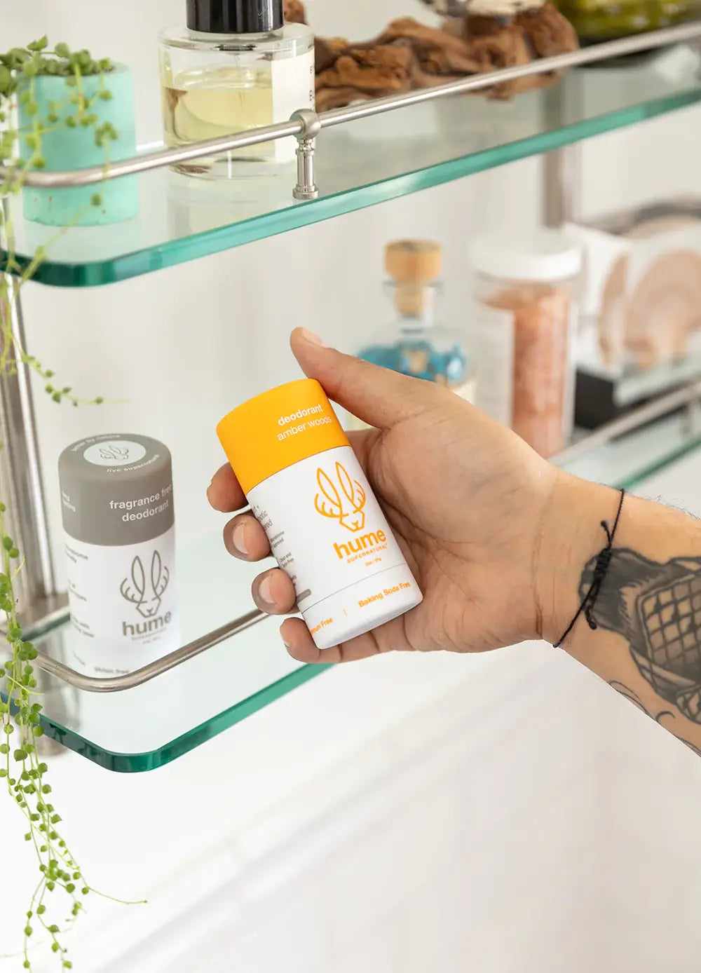 Plant & Probiotic Deodorant- Amber Woods Scent